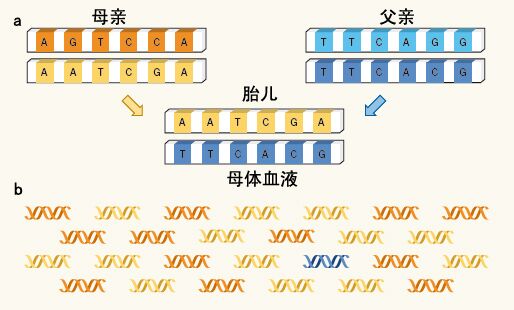 在太原办理亲子鉴定需要什么样本？